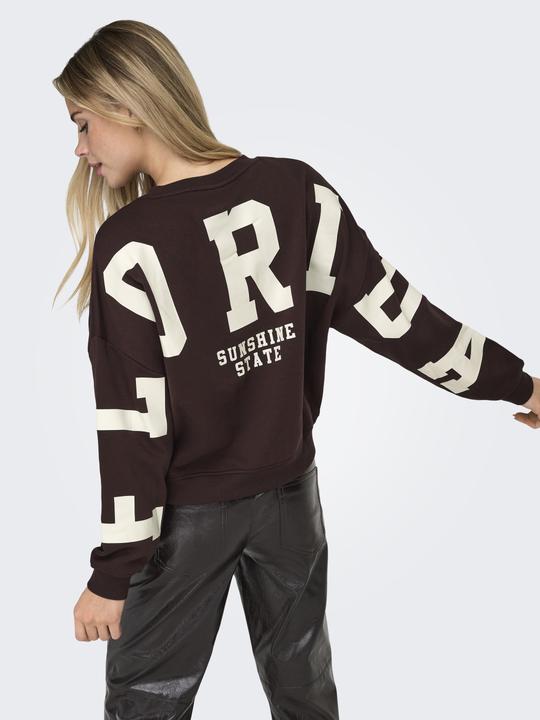 Produktbild Only Onlsweat L/S Back/Sleeve Print Swt Noos (M)