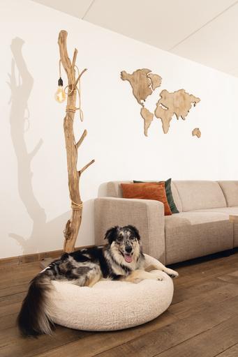 Productafbeelding Beeztees Jaxx (Hond)