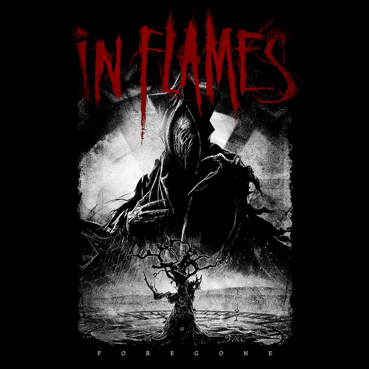 Produktbild In Flames In The Dark (L)