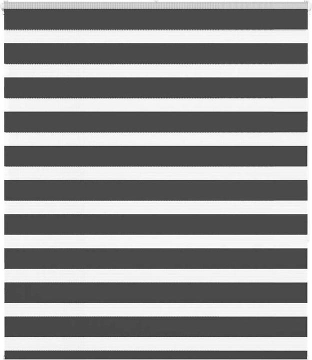 Produktbild vidaXL Zebra-Jalousie (125 x 150 cm)