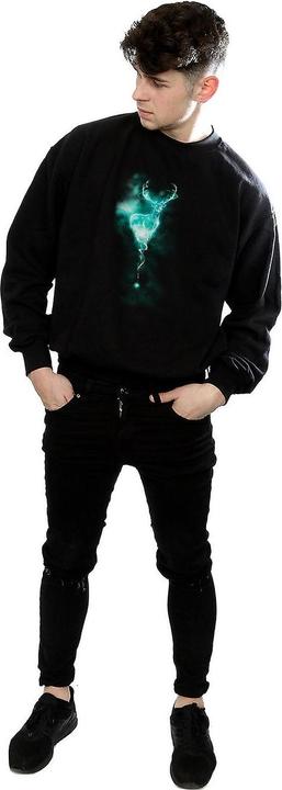 Produktbild Patronus Mist Sweatshirt (M)