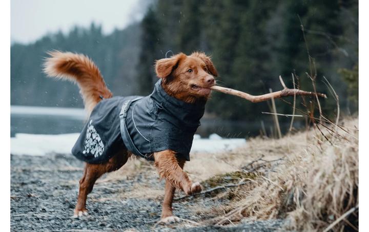 Actual product image Hurtta Monsoon raincoat dark grey (65, M, L, Dog raincoat)