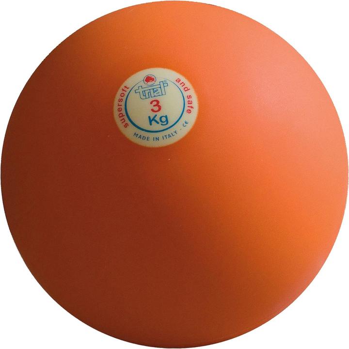 Trial Shock ball (3000 g)
