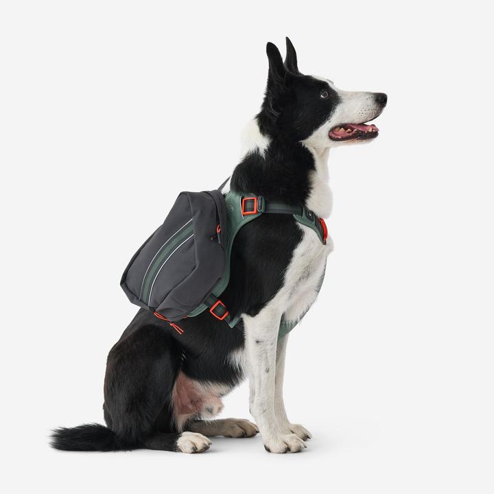 Produktbild Caperlan Hundegeschirr Wandern (L)