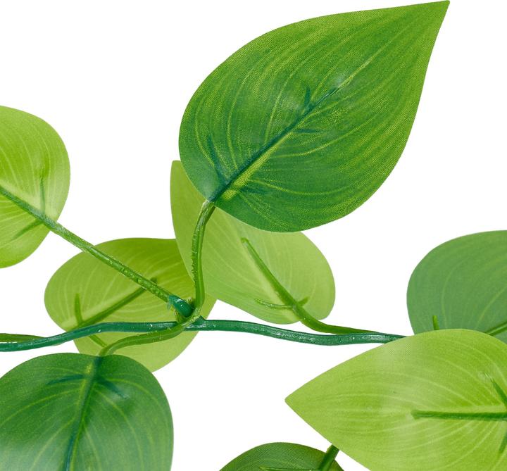 Immagine prodotto Relaxdays Efeutute (100 cm)