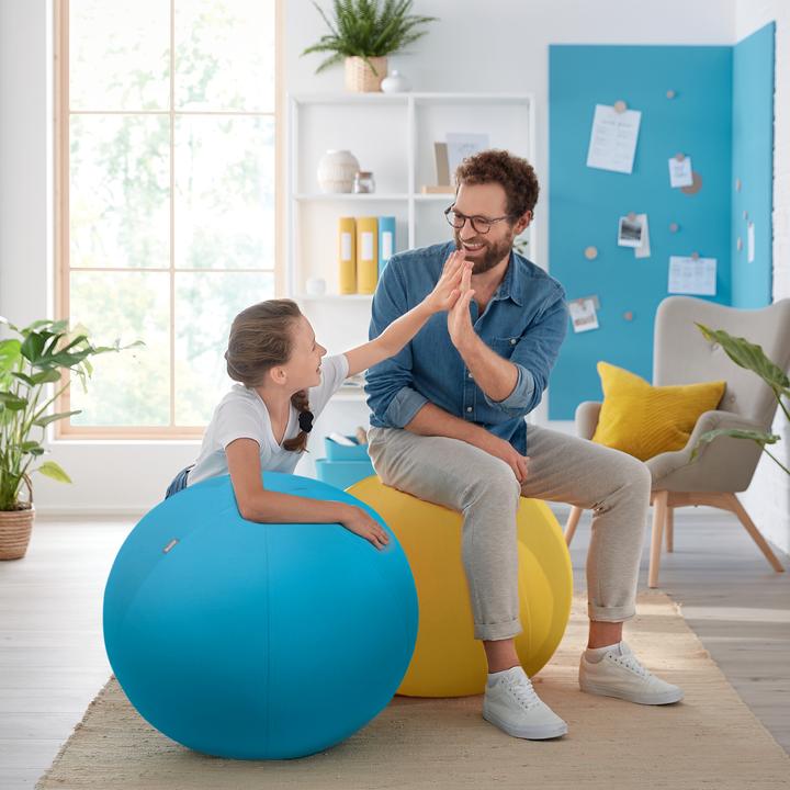 Produktbild Leitz Ergo Cosy Active Sitzball (65 cm)