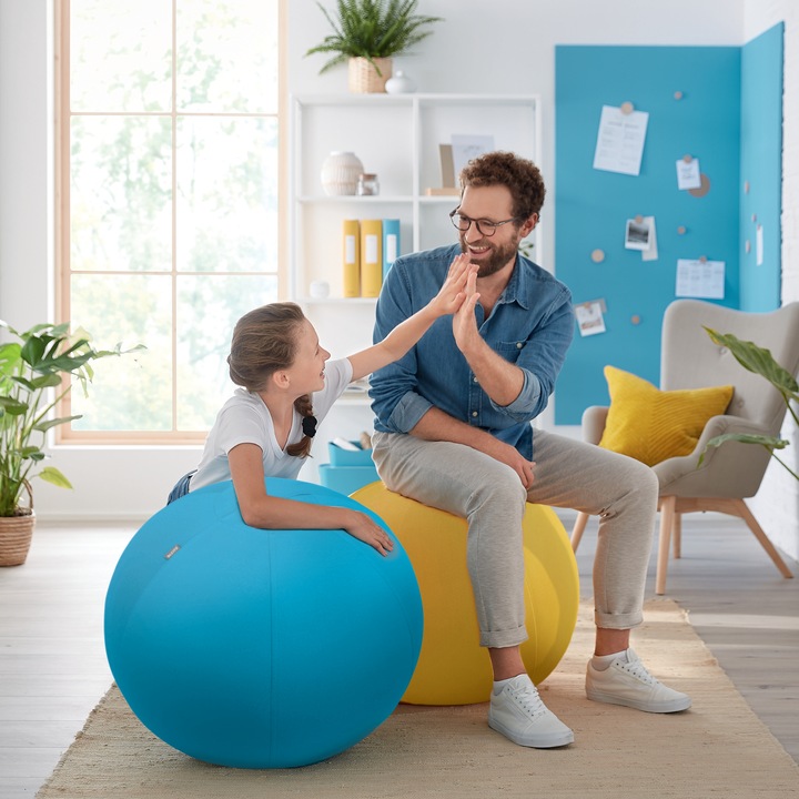 Actual product image Leitz Sitting Ball Ergo Cosy (65 cm)