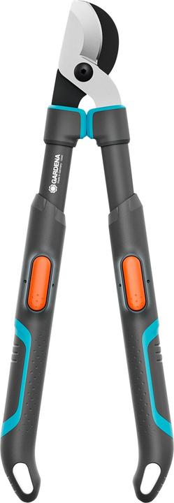 Black, Black, Green, Green, Grey, Grey