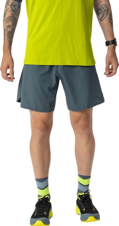 Produktbild Dynafit Alpine Shorts (L)