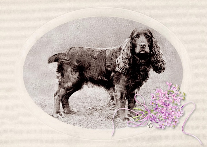 Produktbild Rebecca (Deutsch, Daphne Du Maurier, Christel Dormagen, Marjolein Bastin, Brigitte Heinrich, 2023)