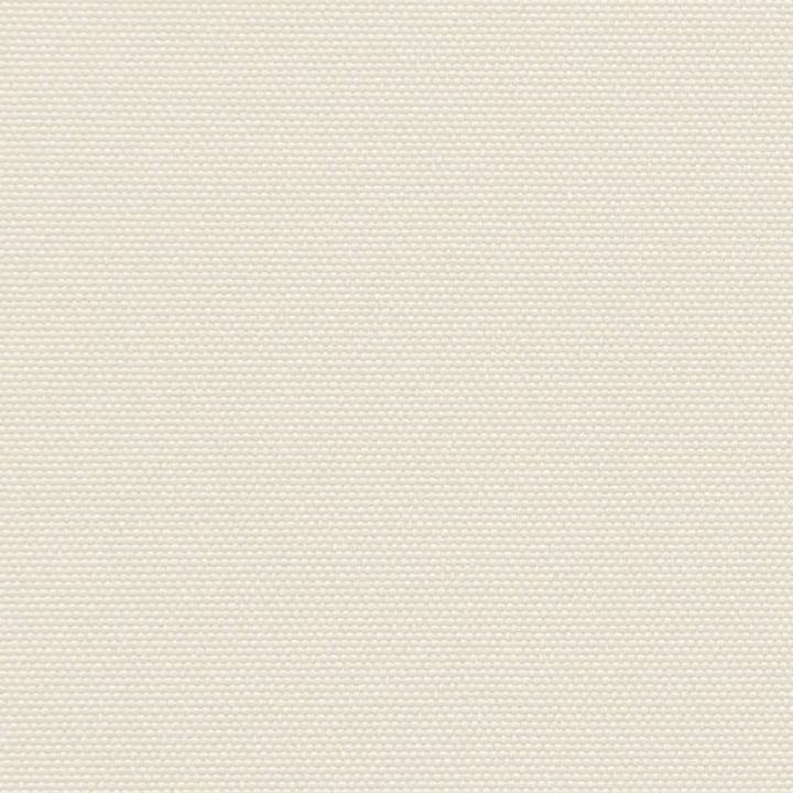 Actual product image vidaXL Extendable side awning (5 m)