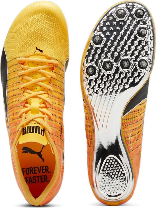 Actual product image Puma evoSPEED BRUSH 6 (40.5)