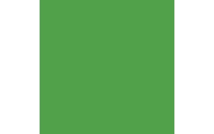 Produktbild Amsterdam Acrylfarbe Standard Series 605 (Brillantgrün, 120 ml)