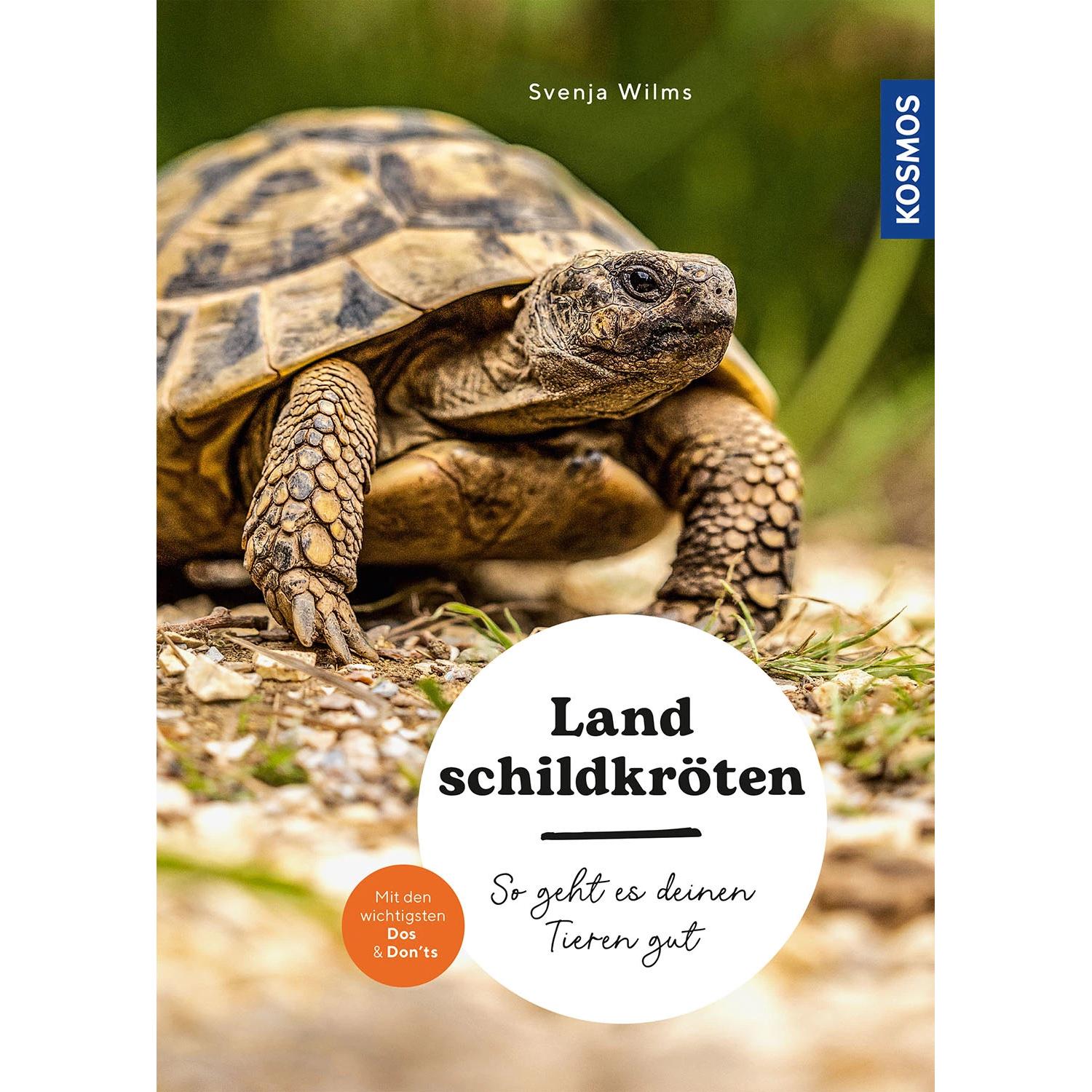 Landschildkröten, Ratgeber von Svenja Wilms
