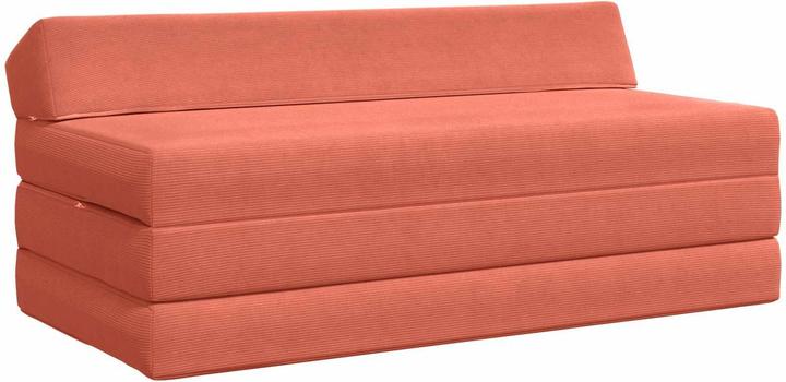 Produktbild vidaXL Klappbares Sofa