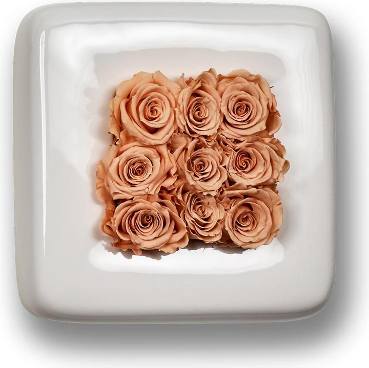 Actual product image Flowerbox Roses in Ceramic Infinity Bloom Chest (Infinity Flowers)