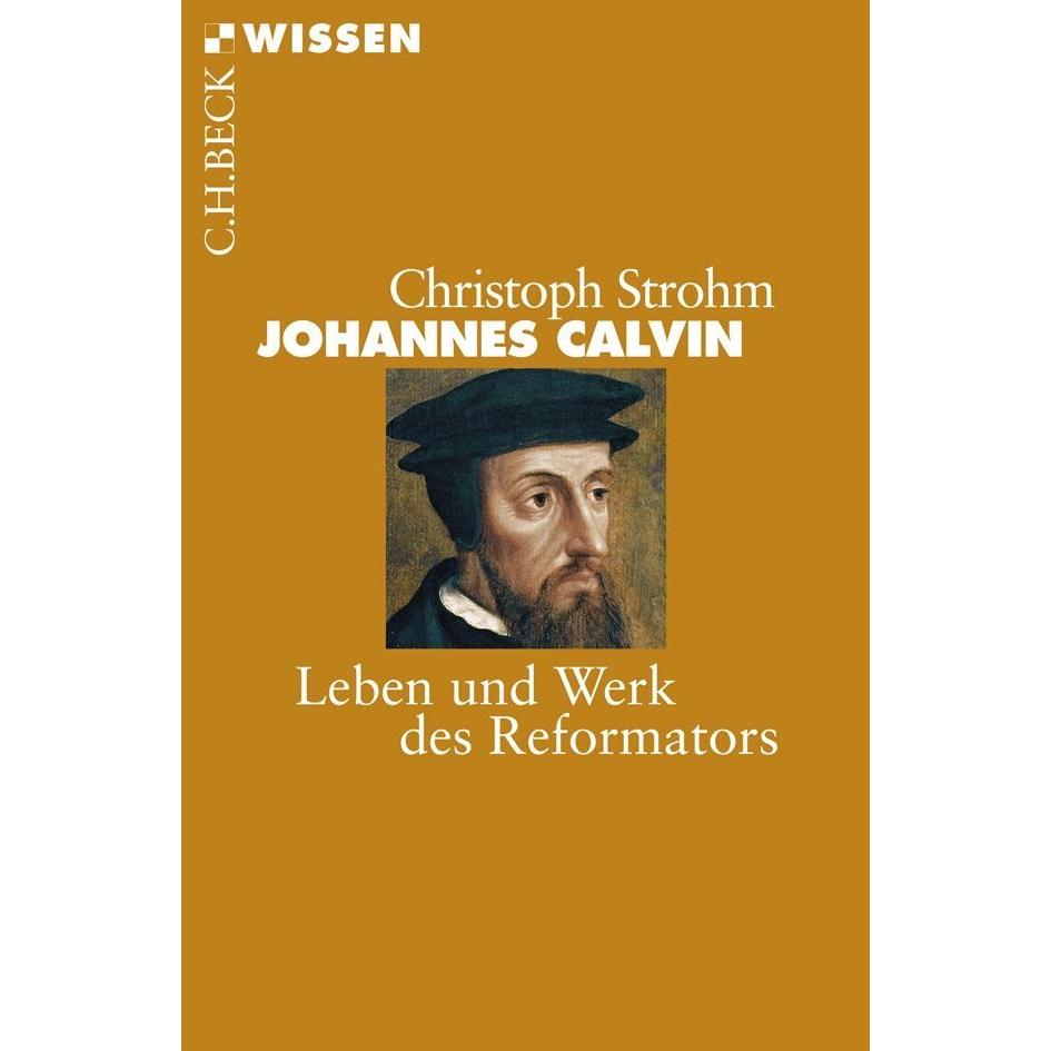 Johannes Calvin, Sachbücher von Christoph Strohm