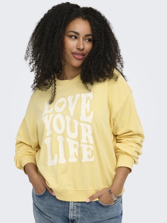 Produktbild Only CARSANDY Sweatshirt Sweatshirt (46, 48, M)