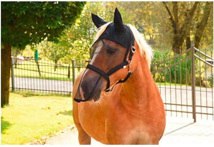 Productafbeelding Kerbl Halster met geïntegreerd vliegenmasker