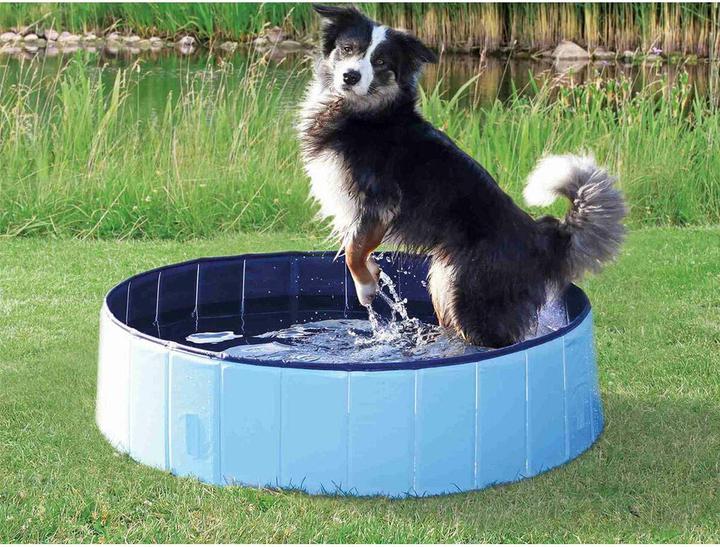 Immagine prodotto Trixie Piscina per cani (Piscina per cani)