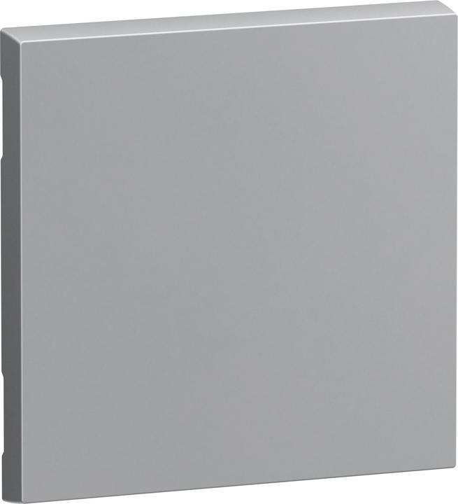 Actual product image Legrand ROCKER FOR 2-POLE DISCONNECT AL LA / LEGRAN 765205 SEANO 765205
