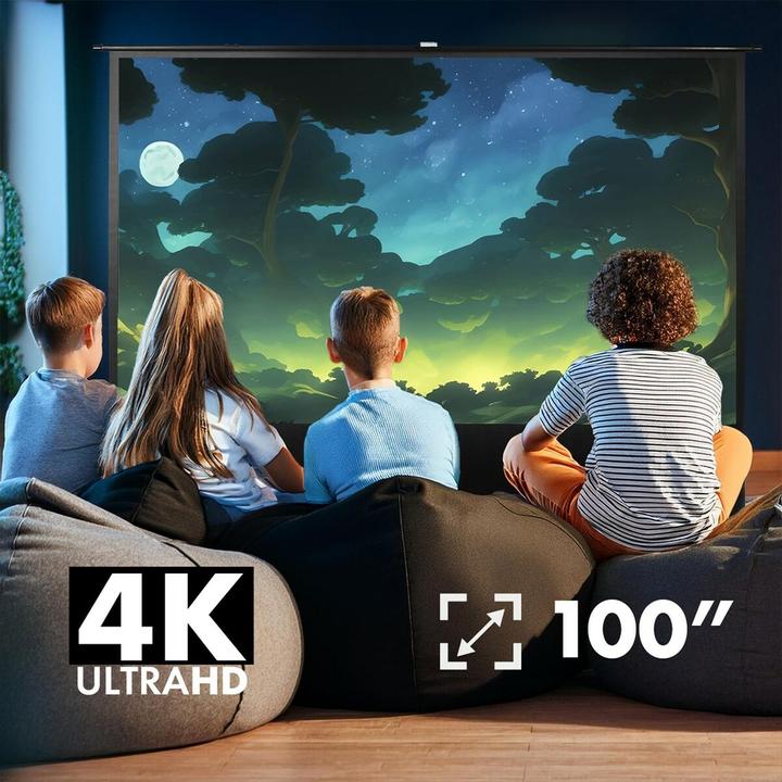 Actual product image Maclean MC-211 (100", 4:3)