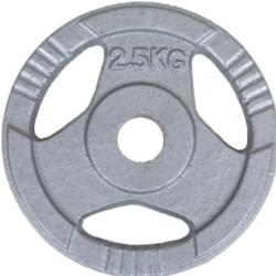 Immagine prodotto Fitcom Hantelscheiben Guss 30 mm (1 x 2,5 kg)
