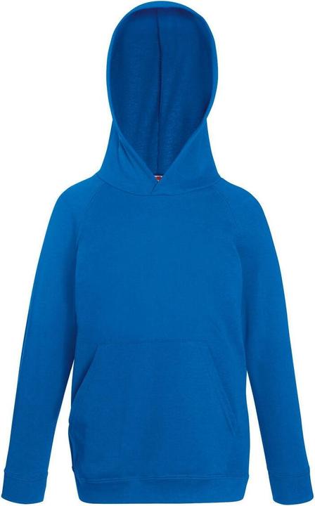 Image du produit Fruit of the Loom Pull à capuche (116)