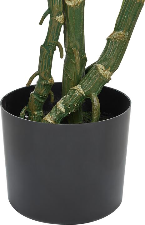 Immagine prodotto Beliani Monstera Plant (135 cm)