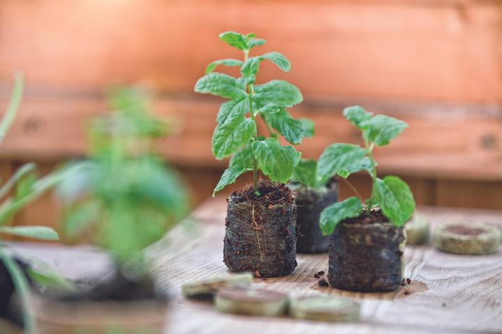 Produktbild Windhager Quell Tabs