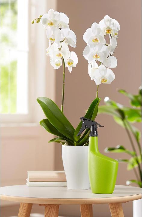 Actual product image Scheurich Smilla (0.70 l)