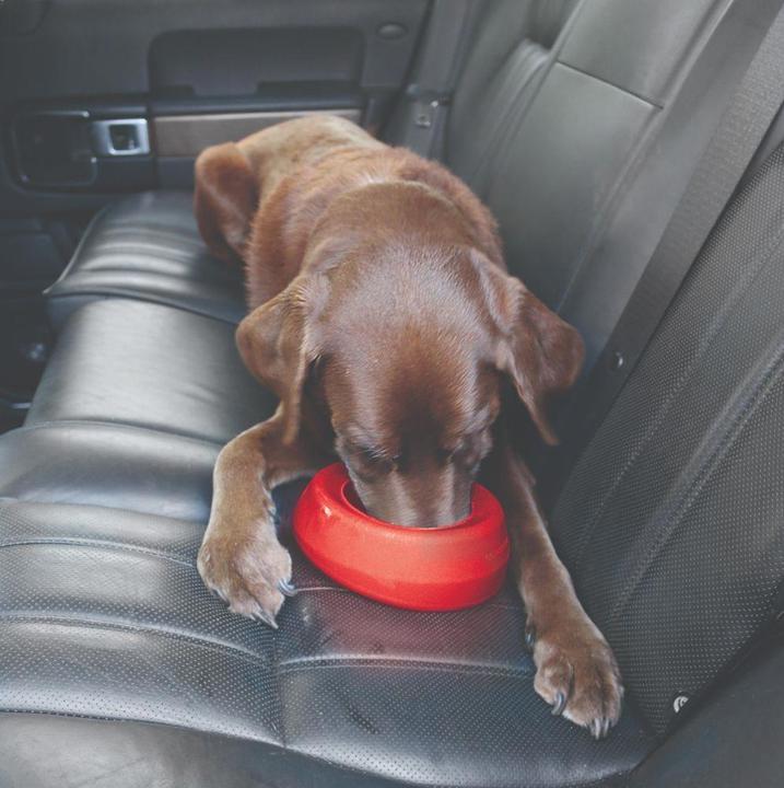 Immagine prodotto Kurgo Splash Free Wander Water Bowl (0.80 l)
