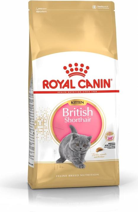 Actual product image Royal Canin British Shorthair Kitten (Junior, 1 pcs., 2000 g)