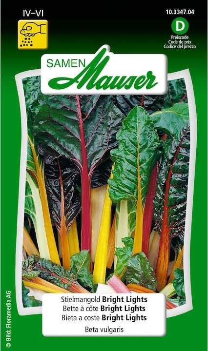 Actual product image Samen Mauser Bright Lights chard (Vegetable seeds)