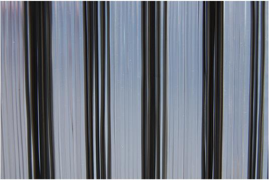 Produktbild Tenda Insektenschutz (100 x 230 cm)