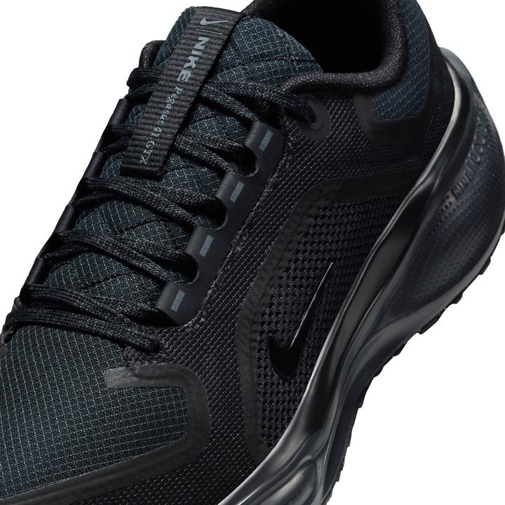 Produktbild Nike Pegasus 41 Gore-TEX Sneaker (40)