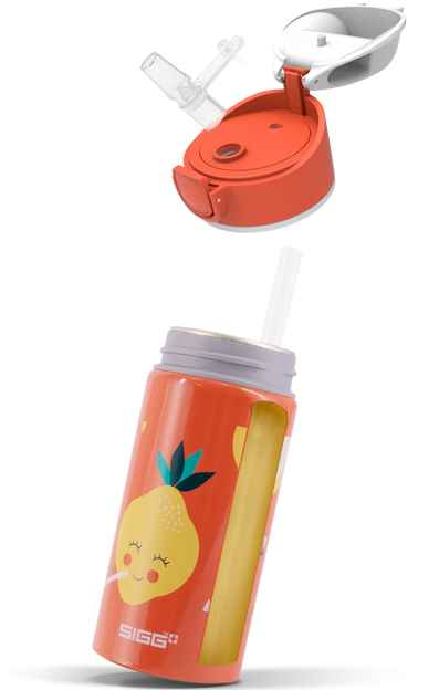 Actual product image Sigg Bottles (0.40 l)