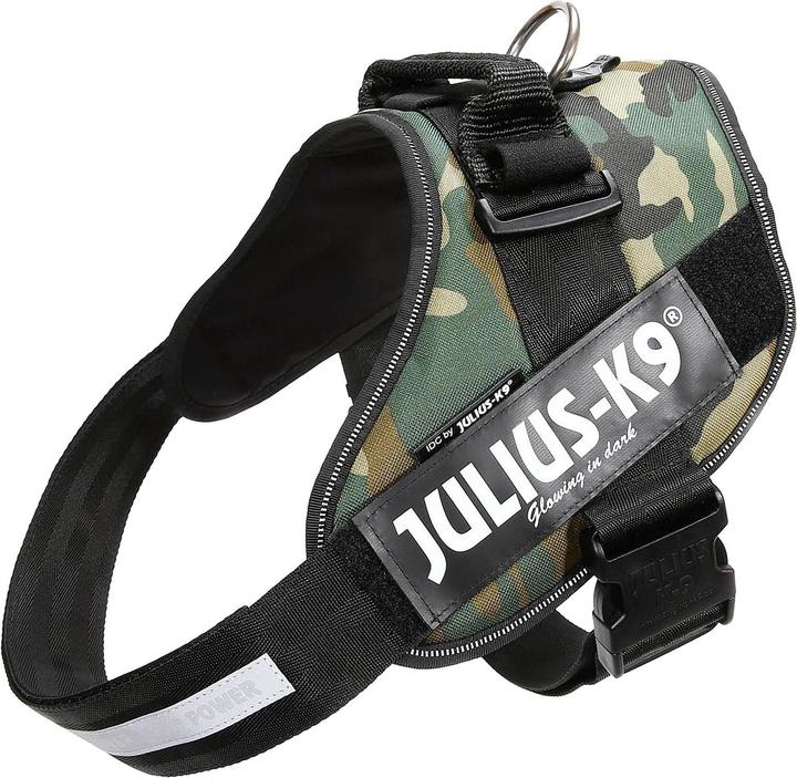 Julius-K9 Idc (2, Dog, Dog sport, Jogging, Walks, Work)