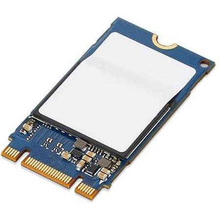 Lenovo ThinkPad 1TB PCIe NVMe M.2 (1000 GB, M.2 2242), SSD