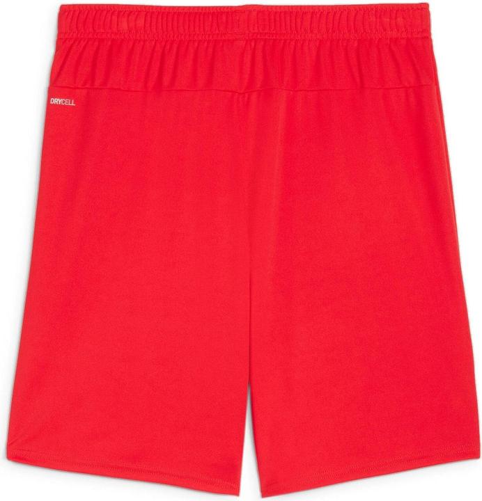 Actual product image Puma teamGOAL shorts (M)