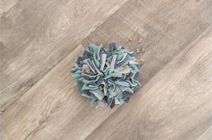 Actual product image Trixie Dog Activity Sniffing Ball (Intelligence toy dog)