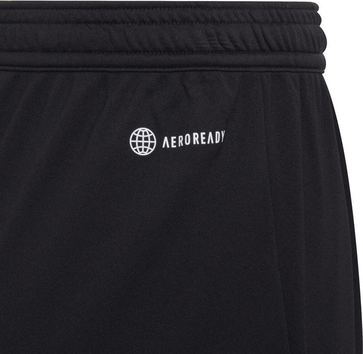 Actual product image adidas Entrada 22 Shorts (164)