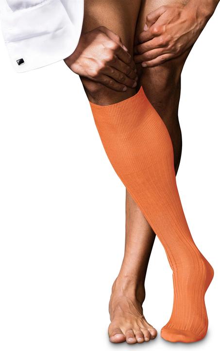 Actual product image Falke No. 10 KH (41 - 42)