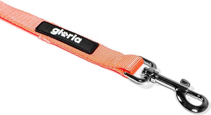 Produktbild Gloria Hundeleine Orange S (S, Hund)