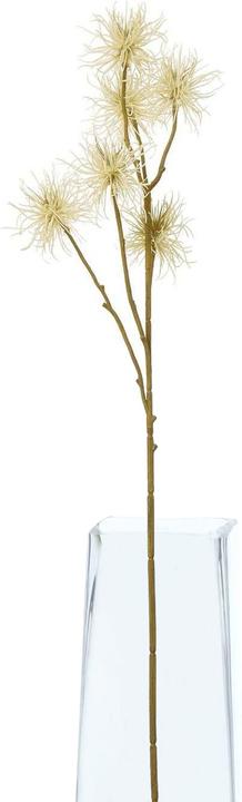 Immagine prodotto Hill Interiors Xanthium Spray Fiore Artificiale (81 cm)