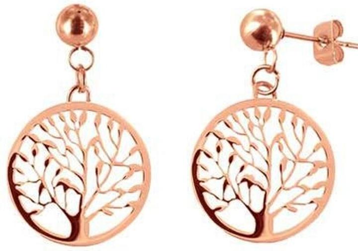 Immagine prodotto CO88 Collection Orecchini Donna in Oro Rosa