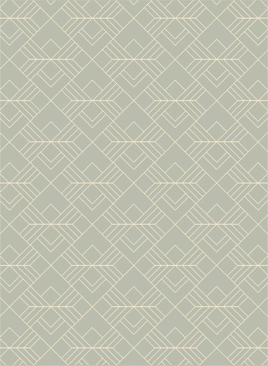 Produktbild Lipo Teppich (290 x 200 cm)