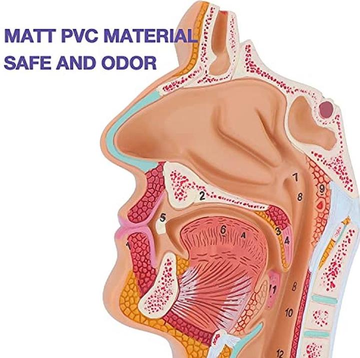 Produktbild Biostar H510MHP 2.0 (LGA 1200, Intel H510, mATX)