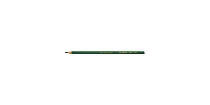 Immagine prodotto STABILO Tutte le matite colorate (Verde, 1 x)