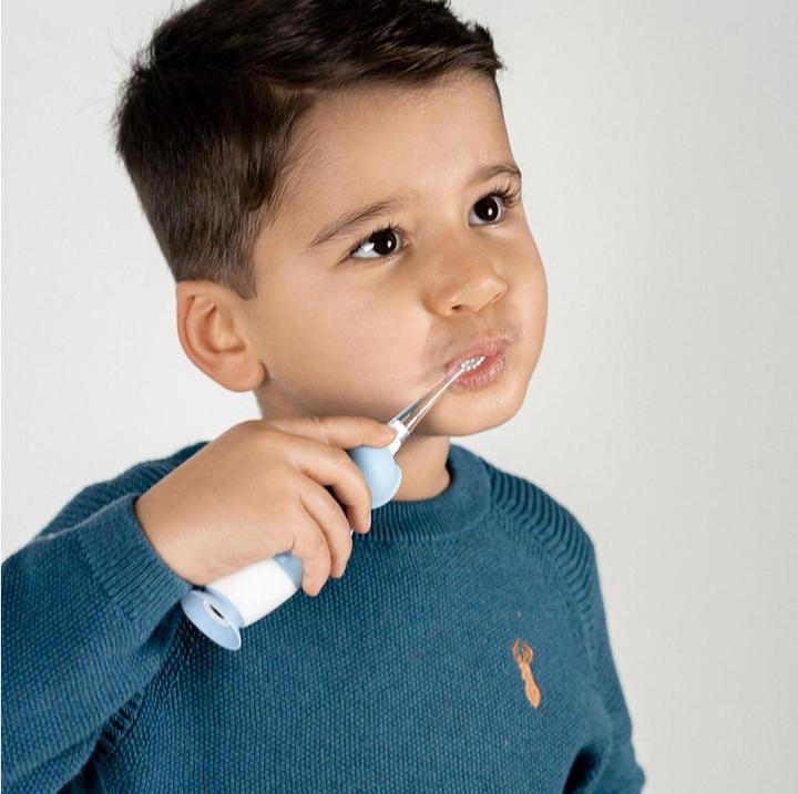 Image du produit Brush-Baby WildOne